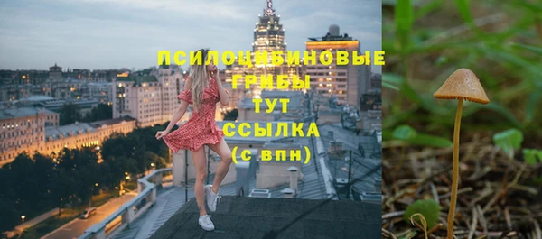 прущая мука Горно-Алтайск