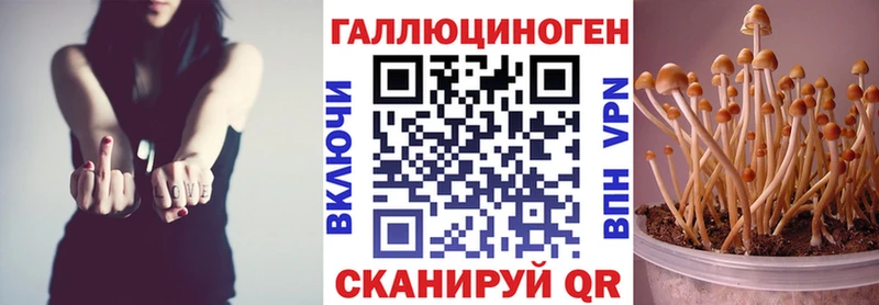 Купить где Борисоглебск Псилоцибиновые грибы прущие грибы